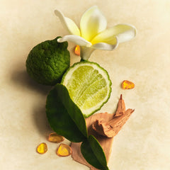 Skin Perfecting Body Lotion - Travel Edit