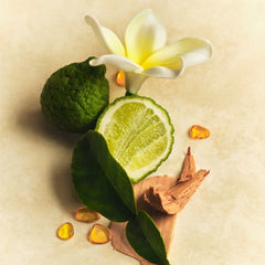 Mini Hair & Body Mist - Essential Set